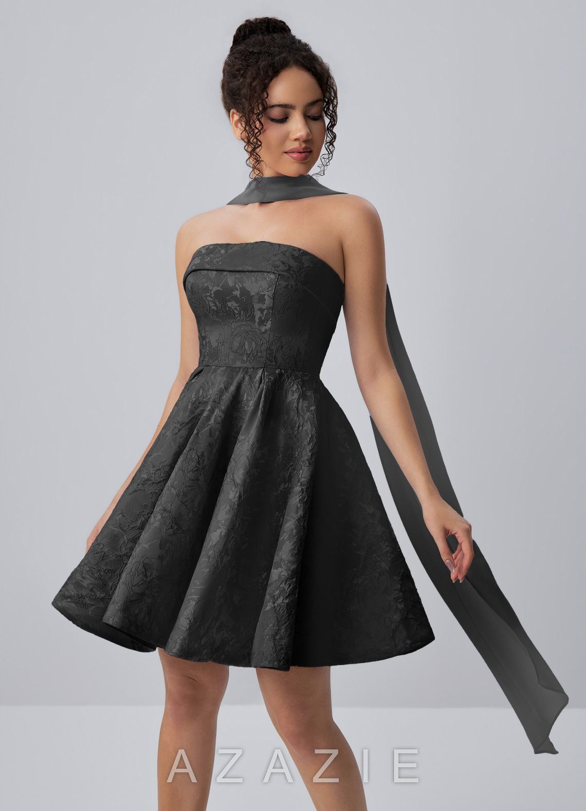 Calistabella Black A-Line Jacquard Chiffon Mini Dress