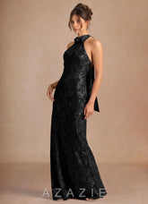 Dillon {color} Maxi Dress