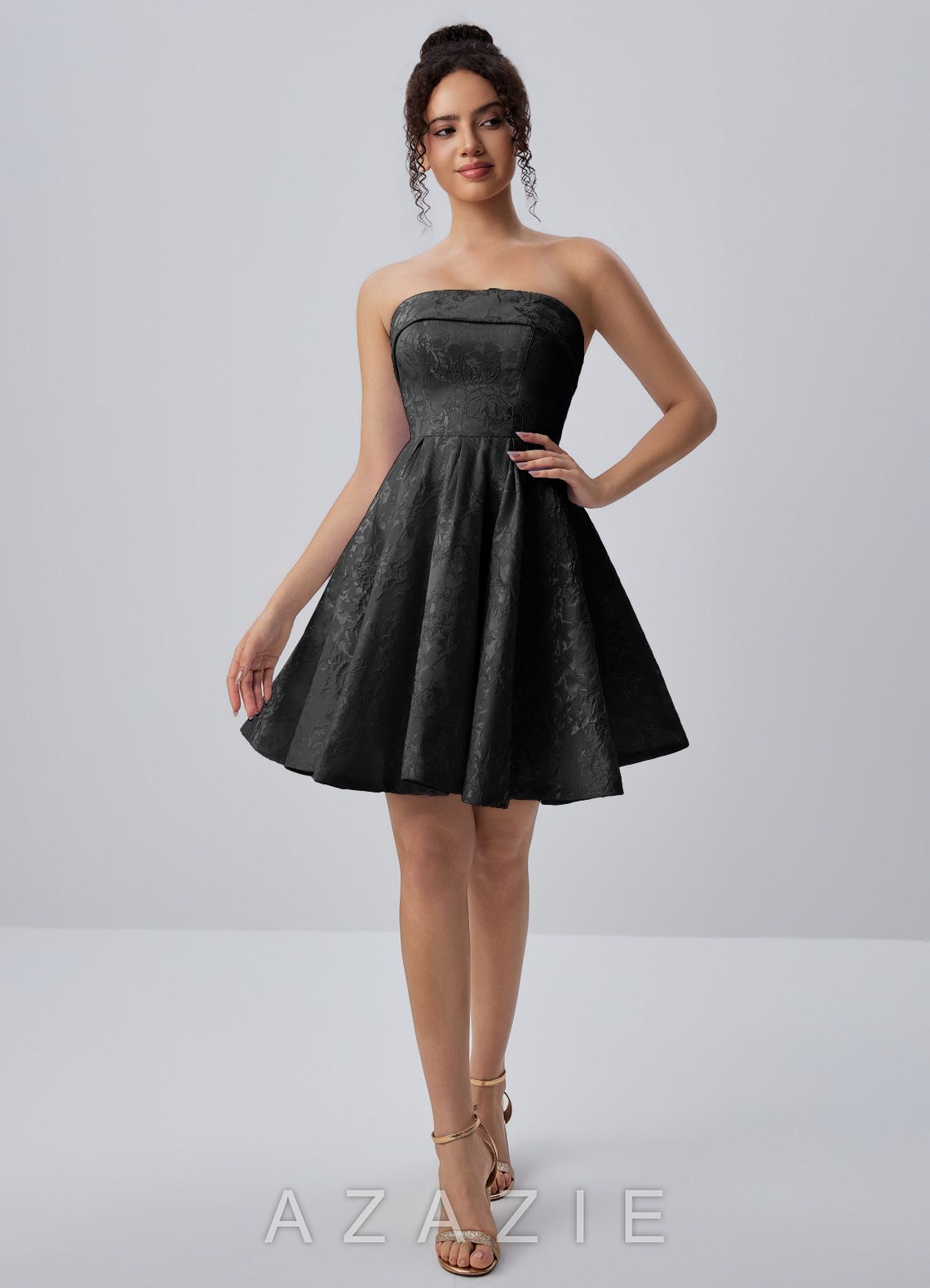 Calistabella Black A-Line Jacquard Chiffon Mini Dress