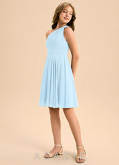 Azazie Charlize Junior Sky Blue A-Line Pleated Chiffon Dress sky_blue