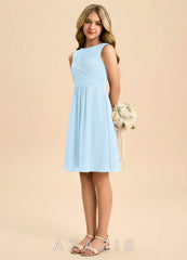 Azazie Skyla Junior Sky Blue A-Line Pleated Chiffon Dress sky_blue