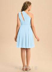 Azazie Charlize Junior Sky Blue A-Line Pleated Chiffon Dress sky_blue