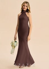 Azazie Velli Junior Ganache Mermaid High Neck Chiffon Dress ganache
