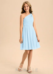 Azazie Charlize Junior Sky Blue A-Line Pleated Chiffon Dress sky_blue